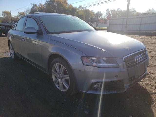 AUDI A4 PREMIUM 2010 waubfafl1an012819