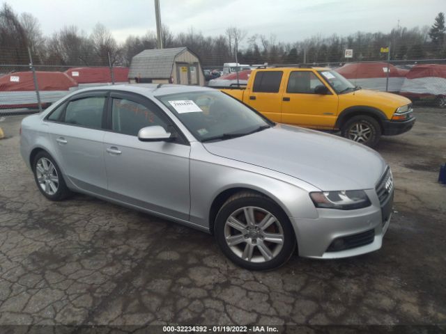 AUDI A4 2010 waubfafl1an023593