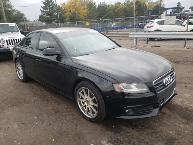 AUDI A4 PREMIUM 2010 waubfafl1an059381