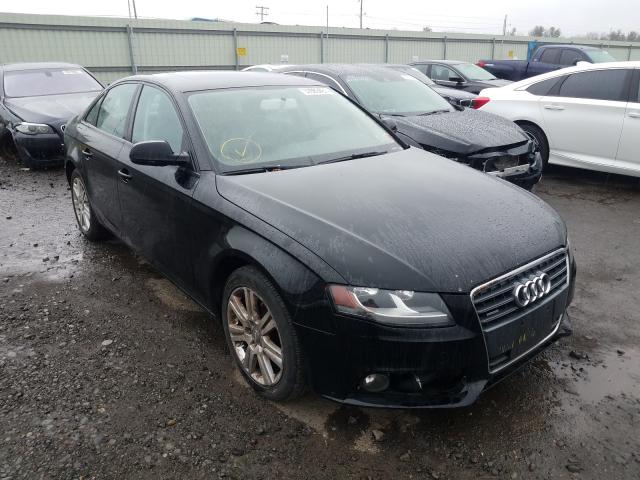 AUDI A4 PREMIUM 2011 waubfafl1bn046440