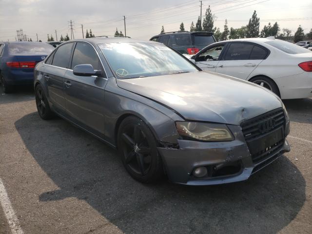 AUDI A4 PREMIUM 2012 waubfafl1ca118438