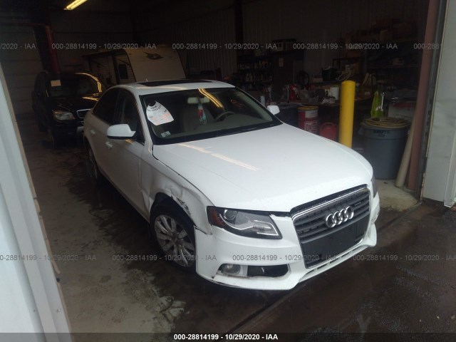 AUDI A4 2012 waubfafl1cn002665