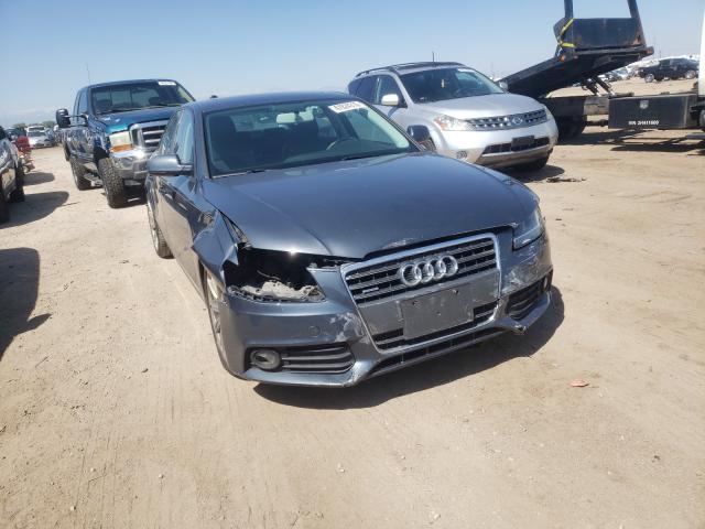 AUDI A4 PREMIUM 2010 waubfafl2an007256