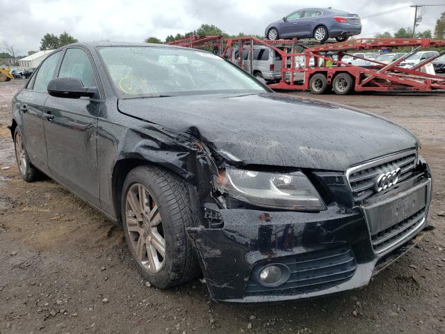 AUDI A4 PREMIUM 2010 waubfafl2an067781