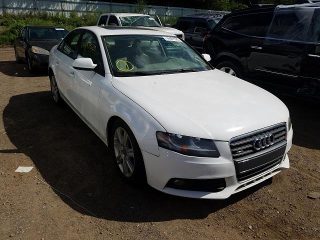 AUDI A4 PREMIUM 2010 waubfafl2an069420