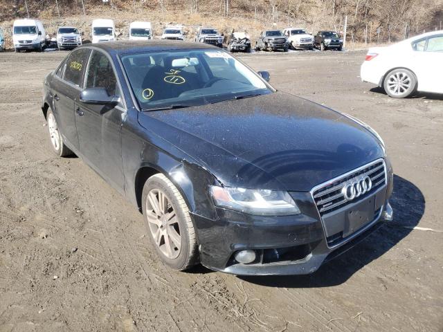 AUDI A4 PREMIUM 2011 waubfafl2bn014130