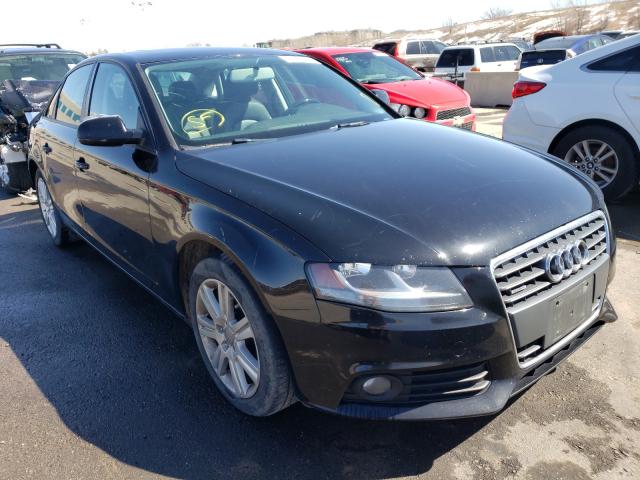 AUDI A4 PREMIUM 2011 waubfafl2bn043241