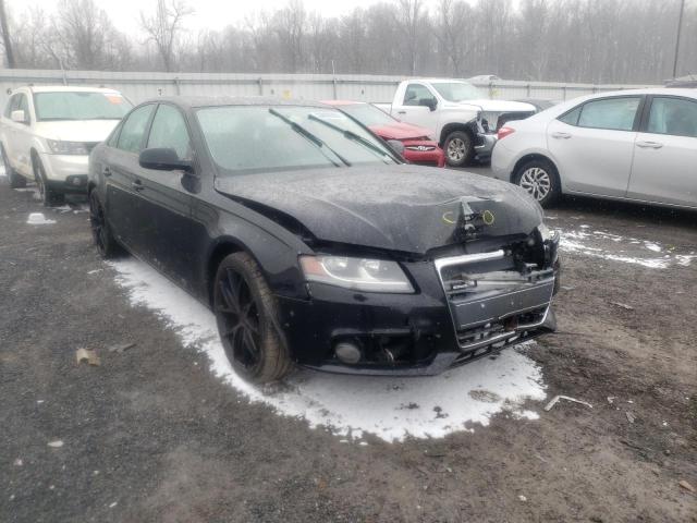 AUDI A4 PREMIUM 2010 waubfafl3an010862