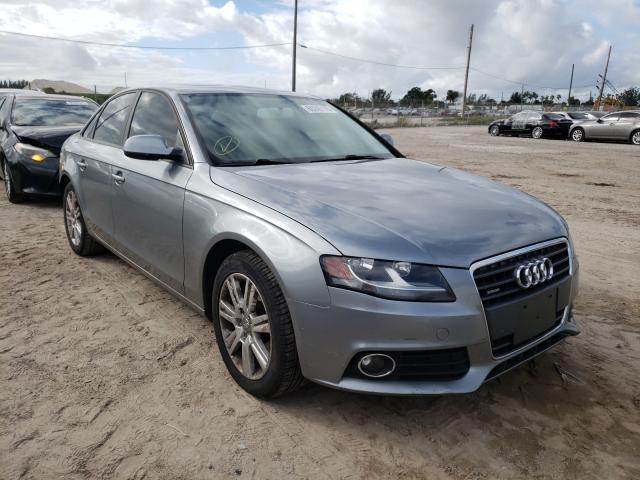 AUDI A4 PREMIUM 2010 waubfafl3an013969