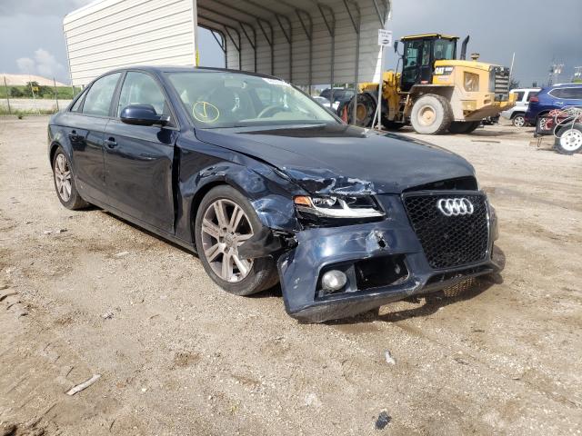 AUDI A4 PREMIUM 2010 waubfafl3an017780