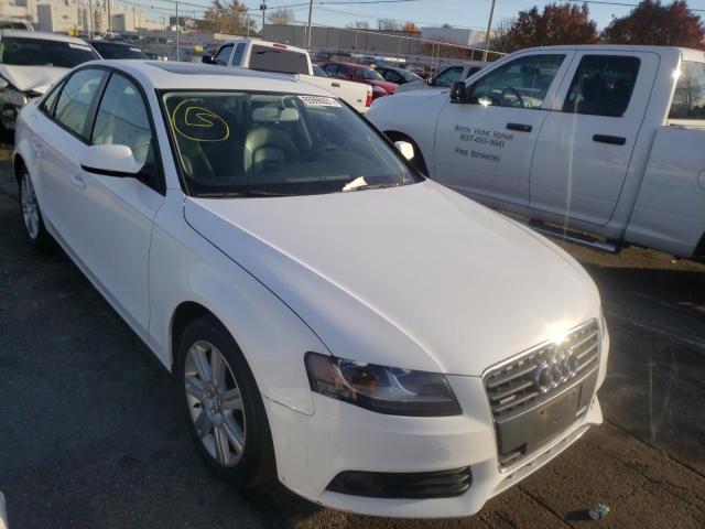 AUDI A4 PREMIUM 2010 waubfafl3an069491