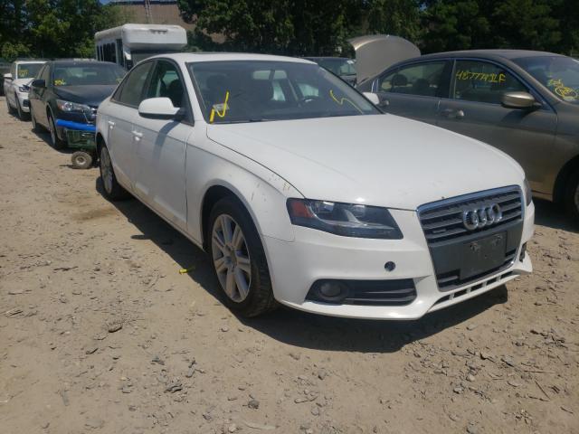 AUDI A4 PREMIUM 2011 waubfafl3bn004626