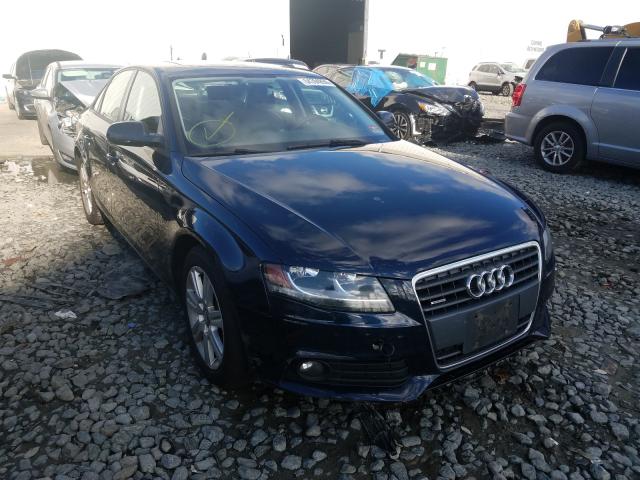 AUDI A4 2010 waubfafl4an021580