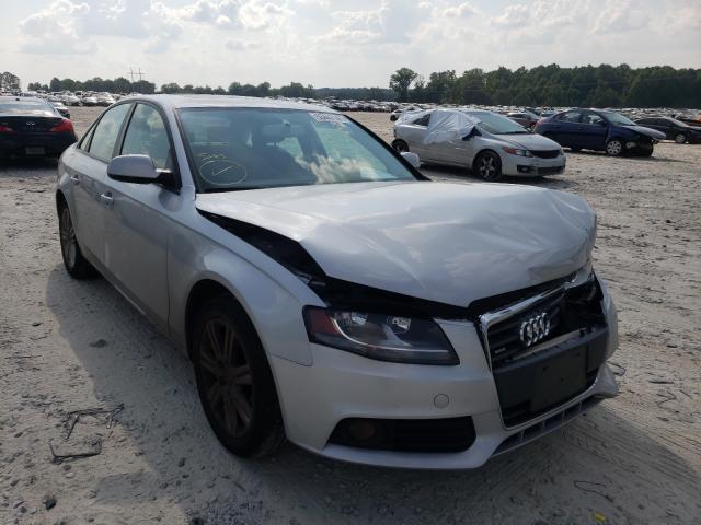 AUDI A4 PREMIUM 2010 waubfafl4an055857