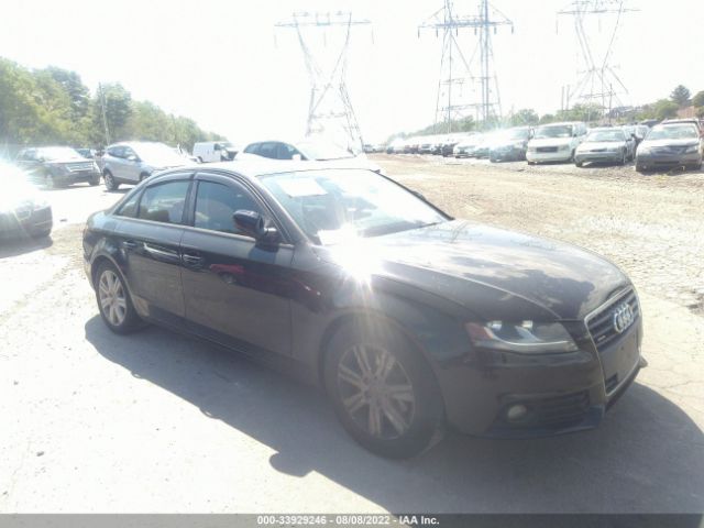 AUDI A4 2010 waubfafl4an056815