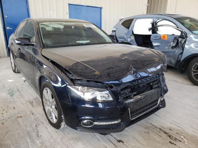 AUDI A4 PREMIUM 2011 waubfafl4bn003307