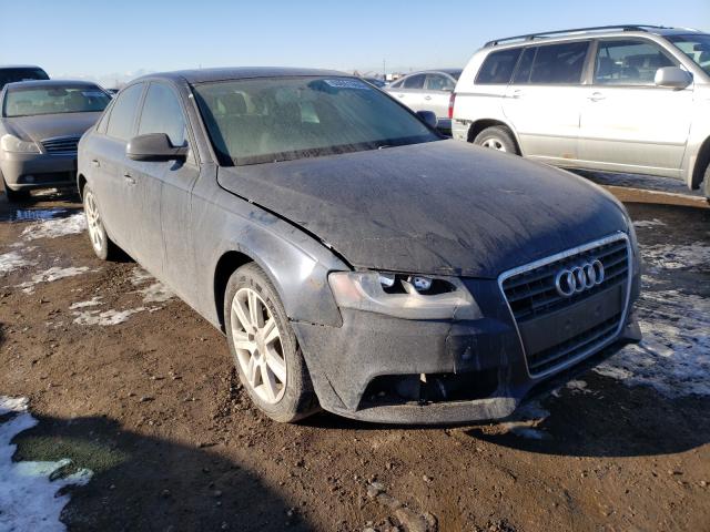 AUDI A4 PREMIUM 2011 waubfafl4bn050370