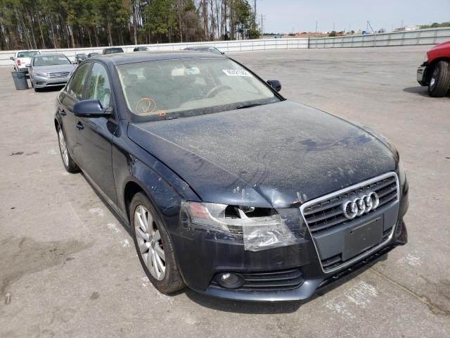 AUDI A4 PREMIUM 2012 waubfafl4cn012980