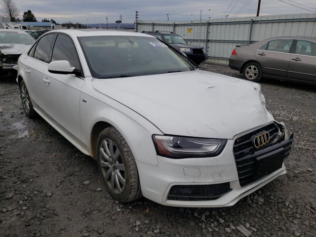 AUDI A4 PREMIUM 2015 waubfafl4fn014426