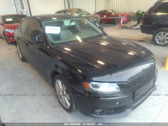 AUDI A4 2010 waubfafl5an034046