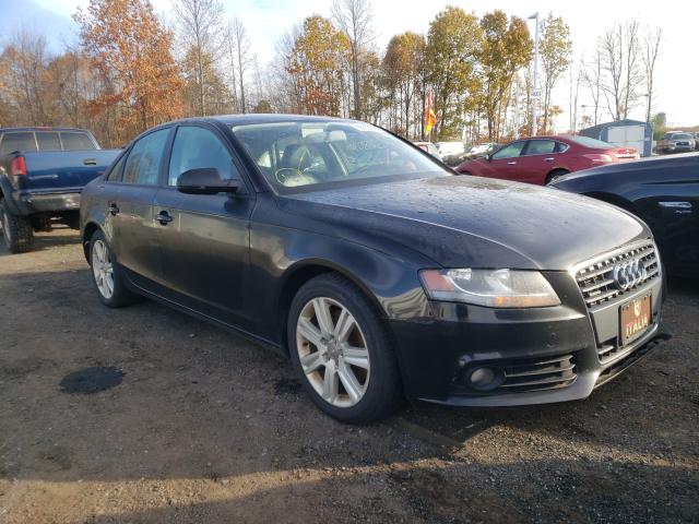 AUDI NULL 2010 waubfafl5an070822