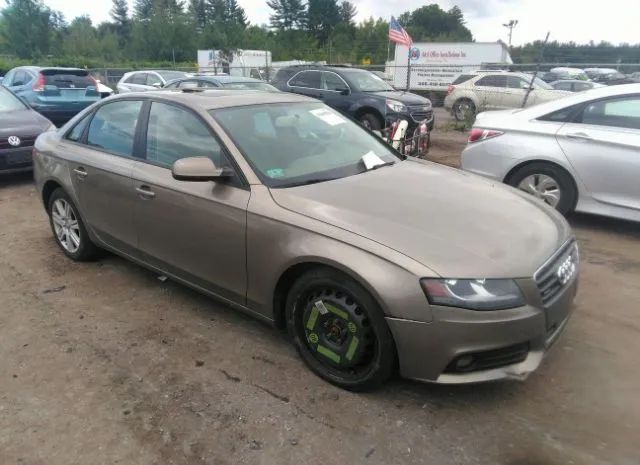 AUDI A4 2010 waubfafl5an071114