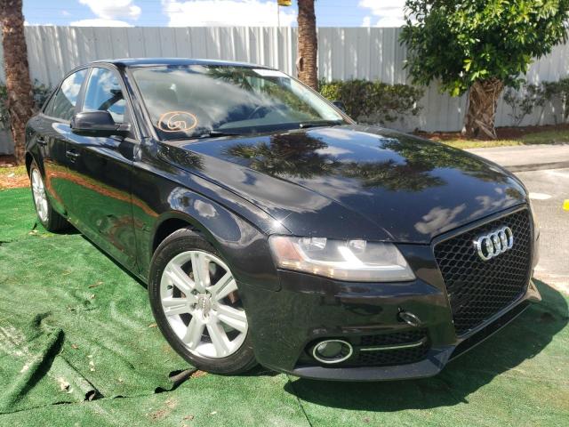 AUDI A4 PREMIUM 2011 waubfafl5bn048255