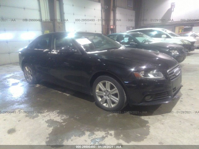 AUDI A4 2011 waubfafl5bn050586