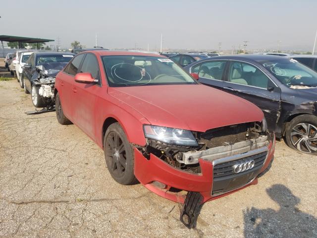 AUDI A4 PREMIUM 2010 waubfafl6an023394