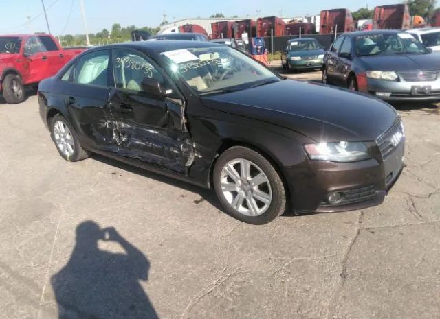 AUDI A4 2011 waubfafl6bn005303