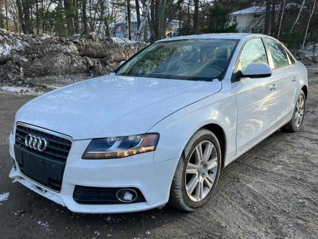 AUDI A4 PREMIUM 2011 waubfafl6bn013997