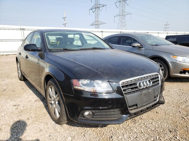 AUDI A4 PREMIUM 2011 waubfafl6bn038351