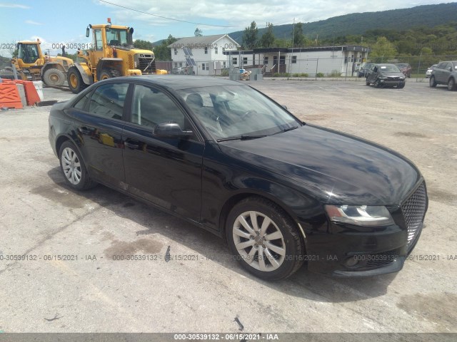 AUDI A4 2011 waubfafl6cn002547