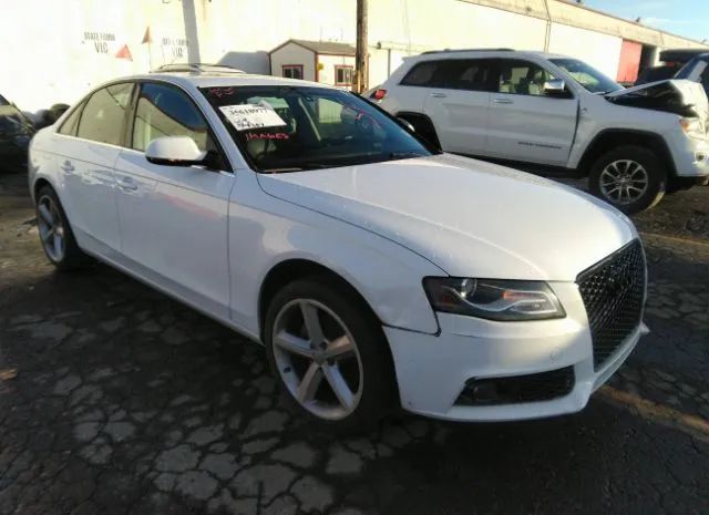 AUDI A4 2012 waubfafl6cn004282