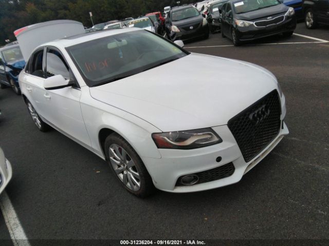 AUDI A4 2012 waubfafl6cn012009