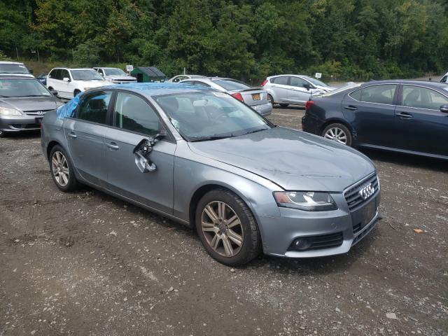 AUDI A4 PREMIUM 2010 waubfafl7an011903