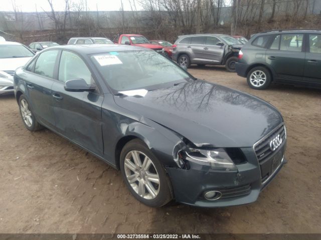 AUDI A4 2010 waubfafl7an038552