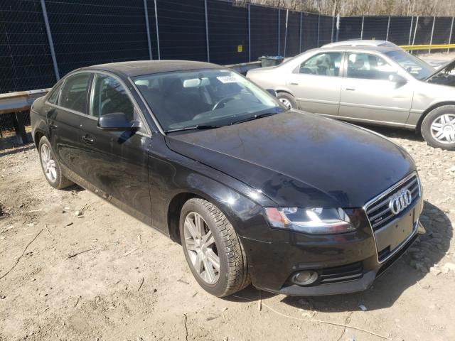 AUDI A4 PREMIUM 2010 waubfafl8an009433