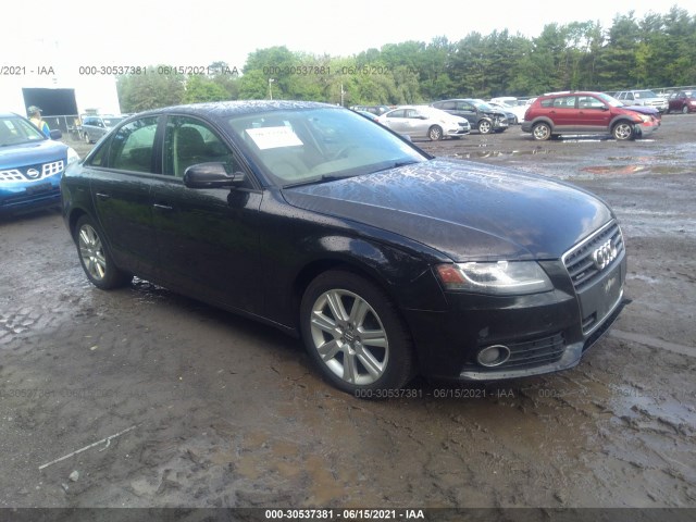 AUDI A4 2010 waubfafl8an027334