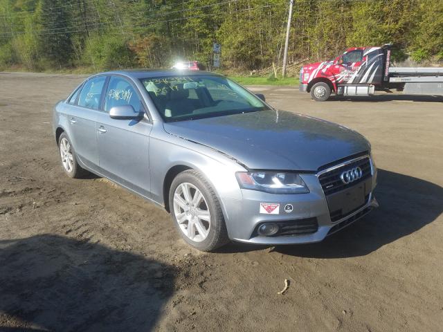 AUDI A4 2009 waubfafl8an034476