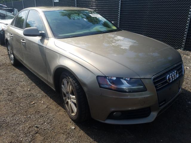 AUDI A4 PREMIUM 2011 waubfafl8bn035452