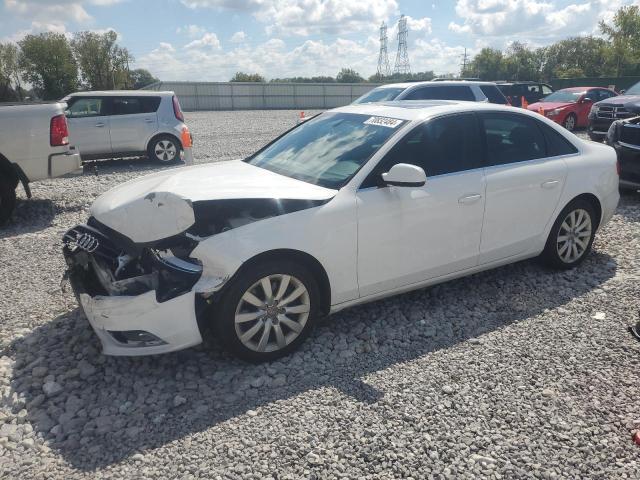 AUDI A4 PREMIUM 2013 waubfafl8dn013132