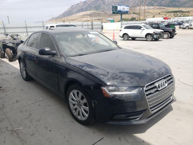 AUDI A4 PREMIUM 2013 waubfafl8dn028567