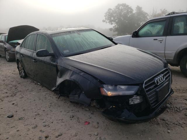 AUDI A4 PREMIUM 2014 waubfafl8en039831