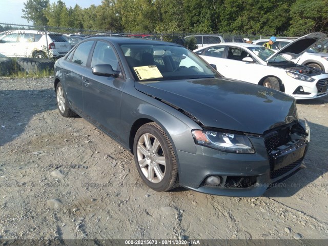 AUDI A4 2010 waubfafl9an013460