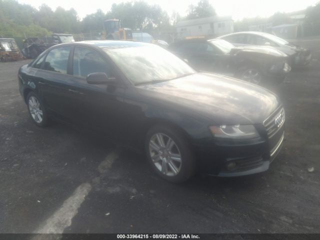 AUDI A4 2010 waubfafl9an031862