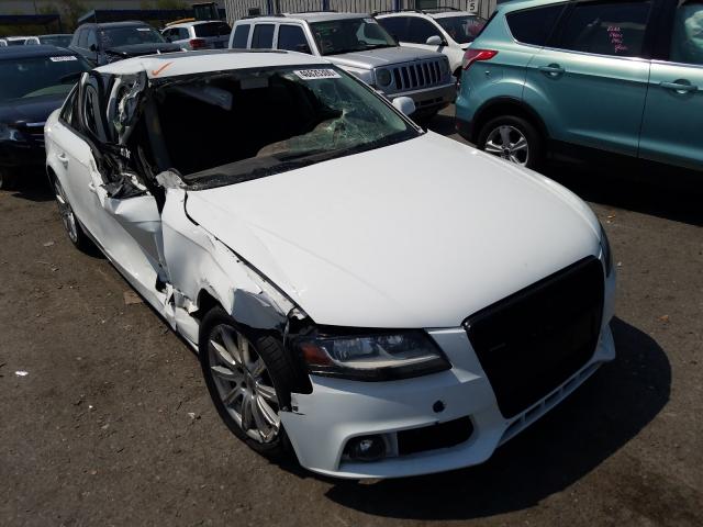 AUDI A4 PREMIUM 2010 waubfafl9an056762