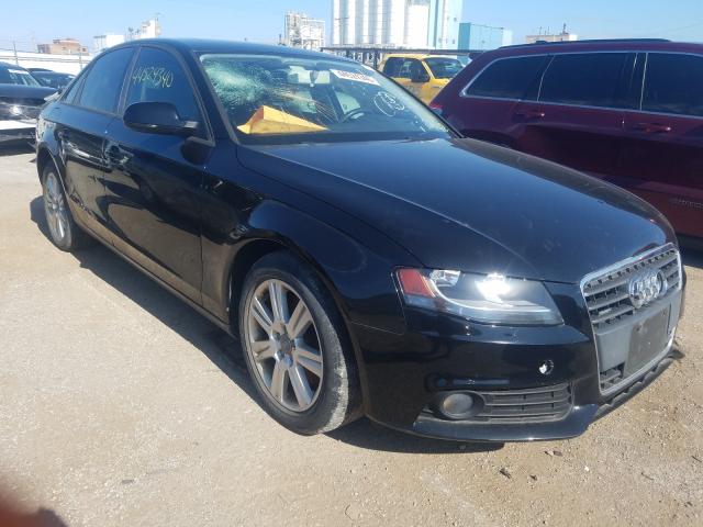 AUDI A4 PREMIUM 2011 waubfafl9bn005019