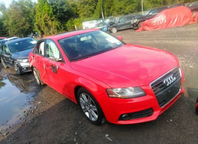 AUDI A4 2011 waubfafl9bn035542