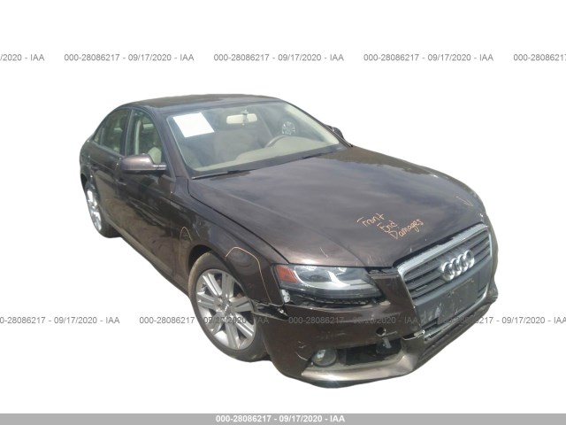 AUDI A4 2011 waubfafl9bn038313